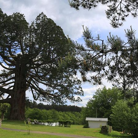 Hostellerie La Bruyere Chalvignac Eksteriør billede